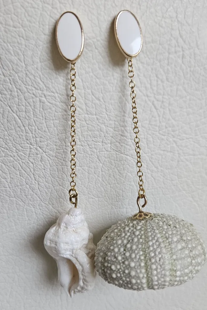 Oursin coquillage.webp